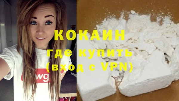 шишки Гусиноозёрск