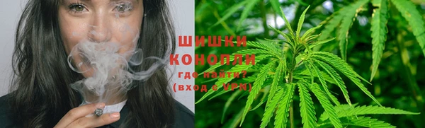 мяу мяу мука Гусев