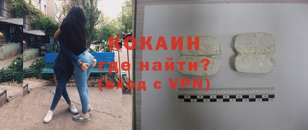 шишки Гусиноозёрск
