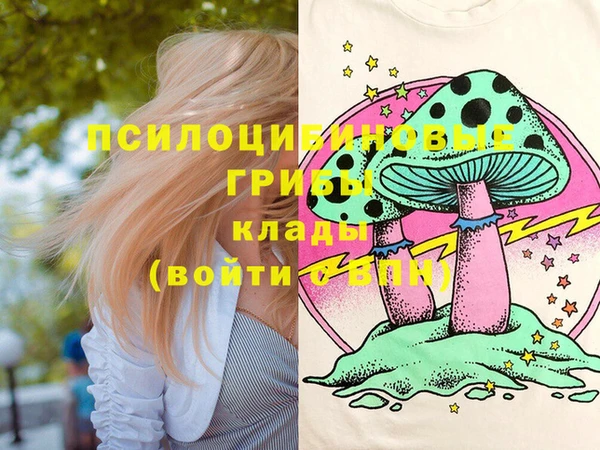 тгк Гусь-Хрустальный