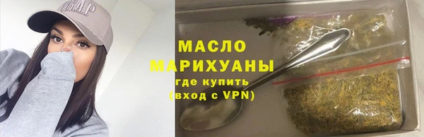 шишки Гусиноозёрск