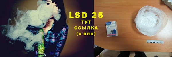шишки Гусиноозёрск