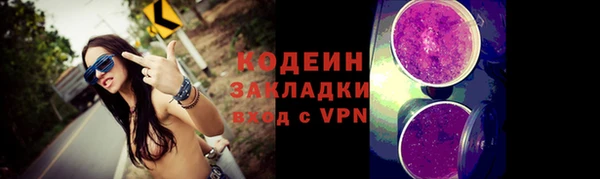 шишки Гусиноозёрск