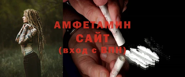 шишки Гусиноозёрск