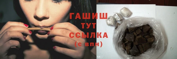 шишки Гусиноозёрск
