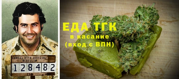 шишки Гусиноозёрск
