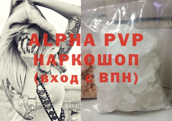 шишки Гусиноозёрск