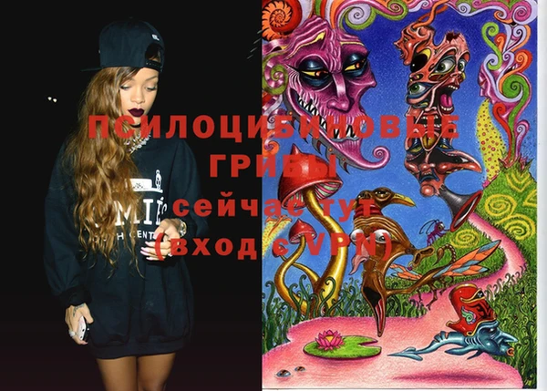 прущие крисы Новозыбков