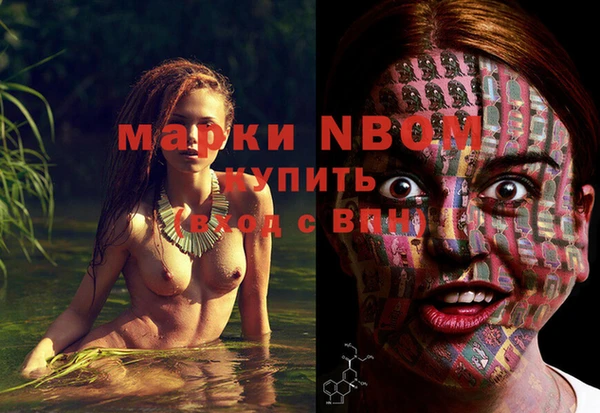 гашик Шали