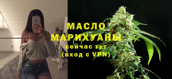 шишки Гусиноозёрск
