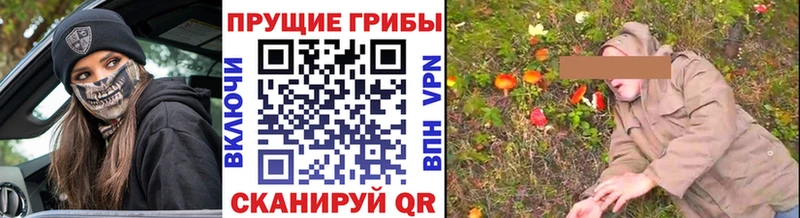 Галлюциногенные грибы Cubensis  Омутнинск 
